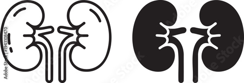 Human kidney silhouette & outline set isolated on transparent background 