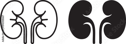 Human kidney silhouette & outline set isolated on transparent background 