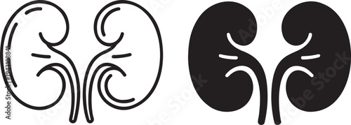 Human kidney silhouette & outline set isolated on transparent background 
