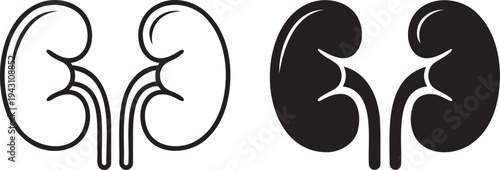 Human kidney silhouette & outline set isolated on transparent background 