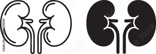 Human kidney silhouette & outline set isolated on transparent background 