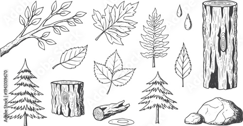 Hand-drawn collection of various forest and nature icons featuring a tree branch, leaves, bark, water droplets, and a rock, illustrated in a black and white doodle sketch style