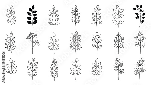 Collection of twenty-one different black and white leaf branch designs are arranged in a grid for botanical reference.