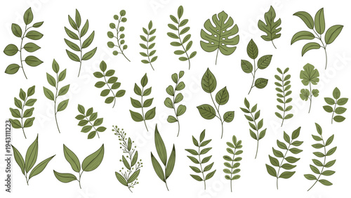 Wide assortment of different green leaf and branch varieties in various shapes and sizes are scattered on a white background.