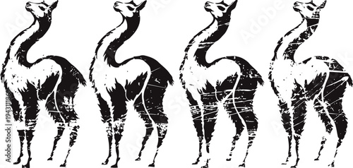 Black and white vintage llama silhouettes set with distressed texture, rustic ink artwork