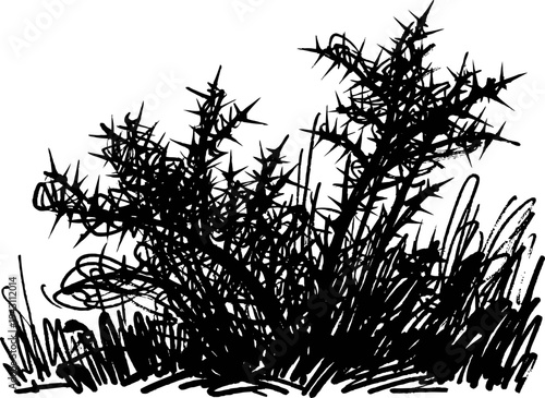 Silhouette of a thorny bush with grass sharp spikes natural plant isolated on white background