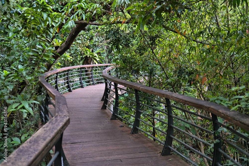 Obraz premium Fairy Lake Botanical Garden (also Xianhu Botanical Garden) in Luohu District of Shenzhen city, China. AAAA rated tourist attraction.