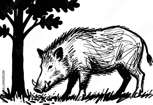 Wild boar grazing near tree in forest clearing hand drawn black and white animal sketch with natural habitat details