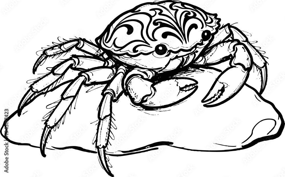 Fototapeta premium Black and white crab illustration on a rock detailed marine animal, sea creature line art drawing
