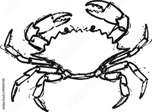 Crab line art illustration marine animal with claws and legs detailed sketch simple monochrome crustacean drawing
