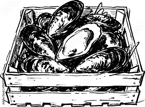 Basket of fresh mussels shellfish seafood in wooden crate ocean marine food delicacy, fishing haul vector sketch