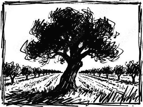 Black ink illustration of olive tree plantation with large central tree and rows of smaller olive trees