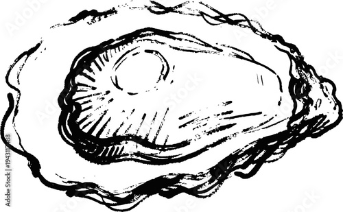 Detailed vintage oyster shell illustration seafood delicacy, marine shell, ocean food drawing