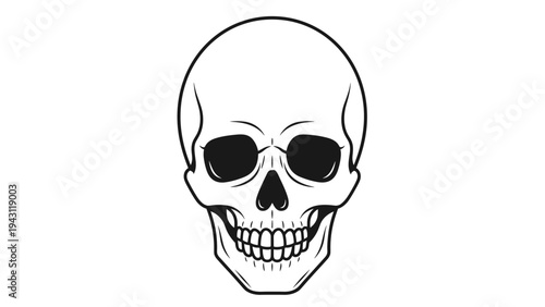 Frontal view of a human skull in a detailed black and white line art style with anatomical features on a white background.