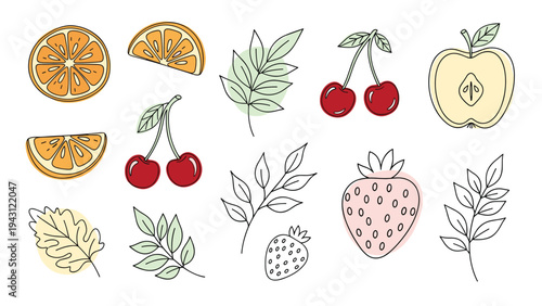 Assorted collection of fruit slices and leaves including oranges, cherries, strawberries, and an apple, in a colorful hand-drawn style.