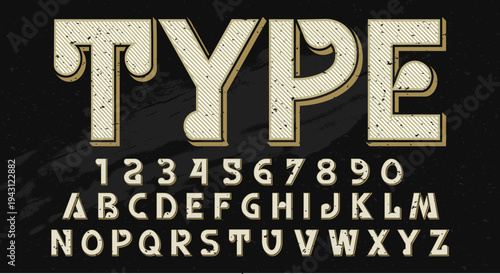 Typography Alphabet and Letterforms Display.