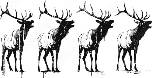 silhouette of elk with antlers in a four stage walking sequence in black and white