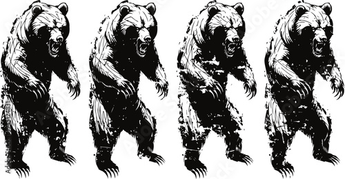 Fierce bear illustrations standing on hind legs in aggressive posture set
