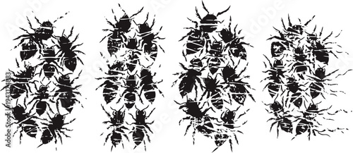 Silhouettes of various insects and bugs arranged in distinct clustered patterns on a white background