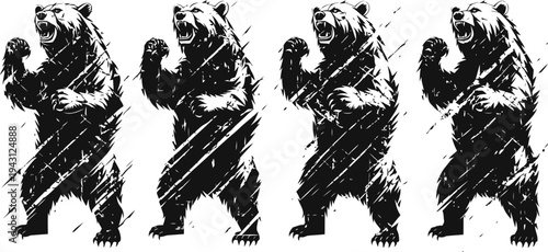 fierce roaring bears standing on hind legs in aggressive stance, wild animal silhouettes