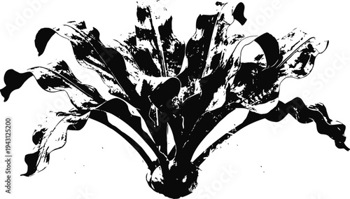 abstract black and white tropical plant silhouette with elongated wavy leaves and organic shapes