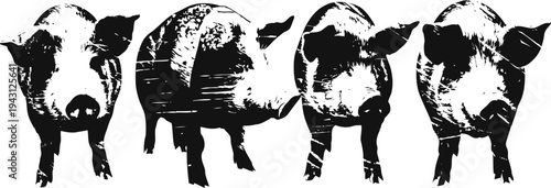 Four black and white pig silhouettes with bold brushstroke on white background