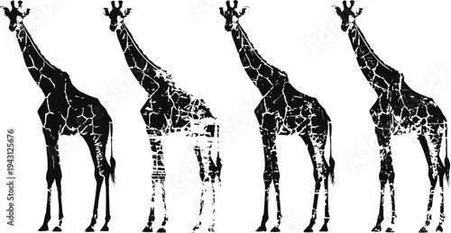 Silhouettes of four giraffes standing in a row with textured and patterned black and white design