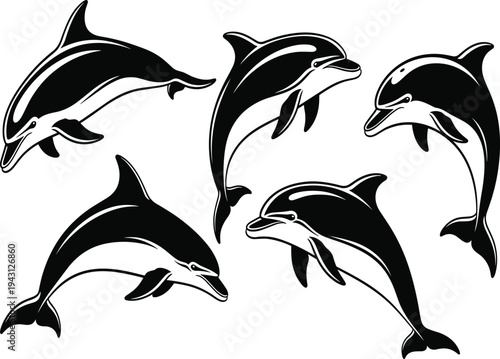 Five black and white dolphins jumping in different directions marine mammals swimming