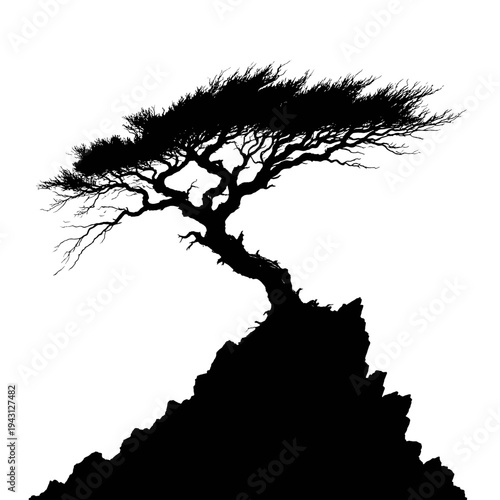 Silhouette of a lone tree growing on a rugged cliff edge