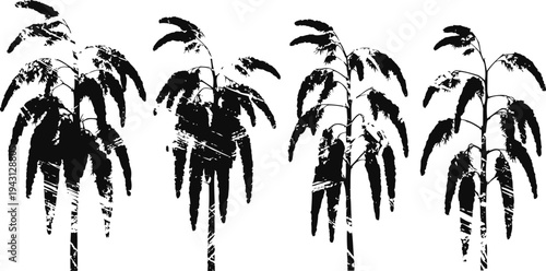 silhouette of four tropical palm trees with long leaves in black and white