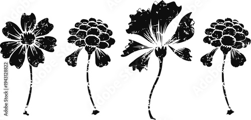 black and white floral silhouette set with natural stems and leaves, decorative botanical vector design