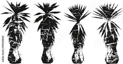 Black and white silhouette of agave plants in various stages of growth with spiky leaves and textured trunks