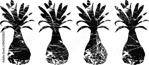 grunge pineapple silhouettes set with distressed texture four tropical fruit icons isolated on white