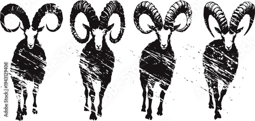 Grunge bighorn sheep silhouettes with curled horns in black and white vintage set