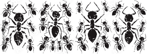 illustration of black ants in various sizes and poses crawling and standing on a white background