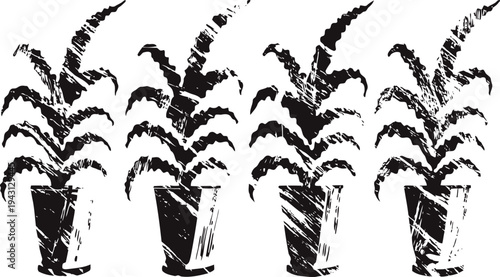 four potted plants in black and white grunge with textured leafy foliage