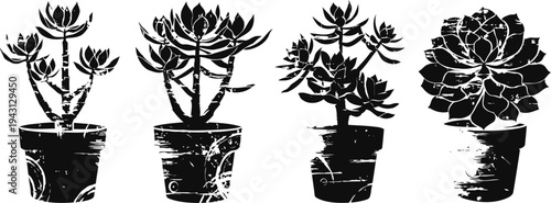 black silhouette of various succulent plants in pots with detailed leaves and stems