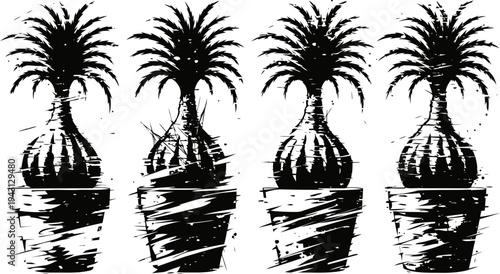 Succulent aloe plants in ceramic pots home gardening, indoor greenery, natural decoration ideas