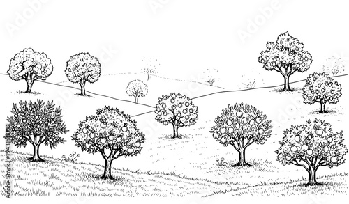 Realistic black and white vintage fruit tree orchard vector illustration on grassy hills