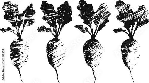 Grunge radish silhouettes set abstract root vegetable with leaves vintage distressed botanical design