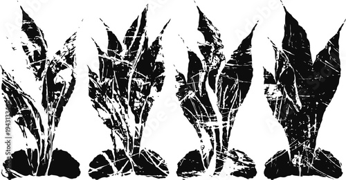 Black and white abstract leaf silhouettes arranged in a row with textured details and high contrast