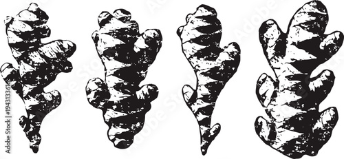 set of four stylized ginger root illustrations in black and white silhouette