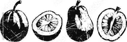 vintage citrus fruit engraving whole and halved lemon and pear illustration in black and white
