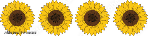 Sunflower Vector Illustration Set with Bright Yellow Petals and Dark Brown Centers for Nature Floral