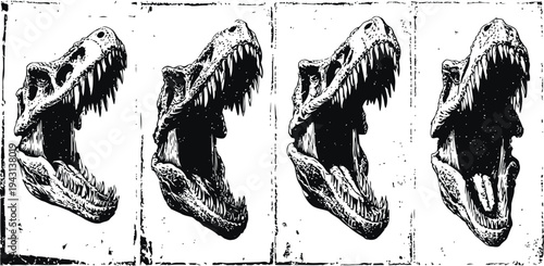 Sequential of a dinosaur skull with open jaws showing teeth and detailed bone structure