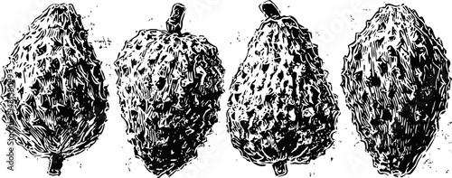 soursop fruits illustration in black and white tropical exotic fruit with spiky skin and stem details