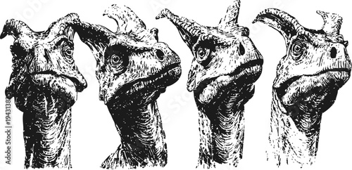 four dinosaur heads in black and white sketch style, detailed prehistoric reptile portraits isolated on white