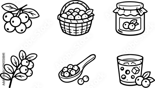 Cranberry berry food drink line icons. Vector