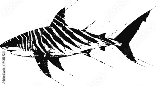 Black and white tiger shark silhouette with distinct stripes swimming underwater