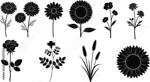 Black botanical silhouettes set, floral leaf and branch icons collection, monochrome garden plant elements, minimalist nature symbols, vector floral graphics,